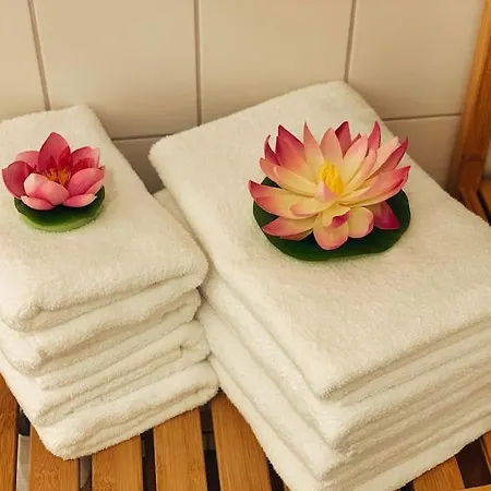 77 Qm Fewo Schlosspark Residenz Innenstadt Schwimmbad Schwerin (Mecklenburg-Vorpommern)